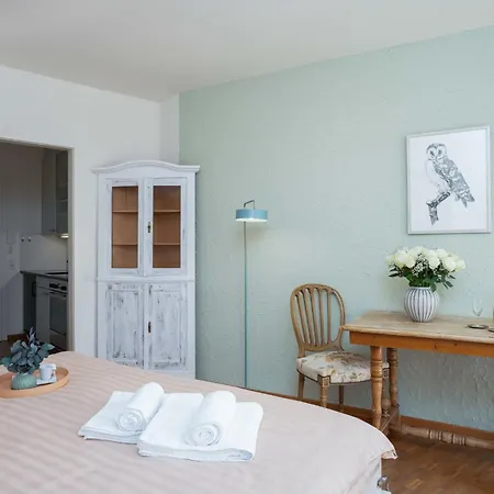 公寓 Double Classic-1 By Interhome 阿斯科纳